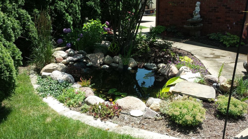 Water Features